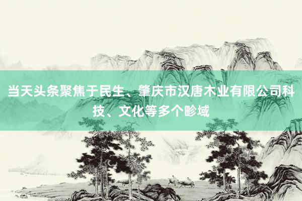 当天头条聚焦于民生、肇庆市汉唐木业有限公司科技、文化等多个畛域